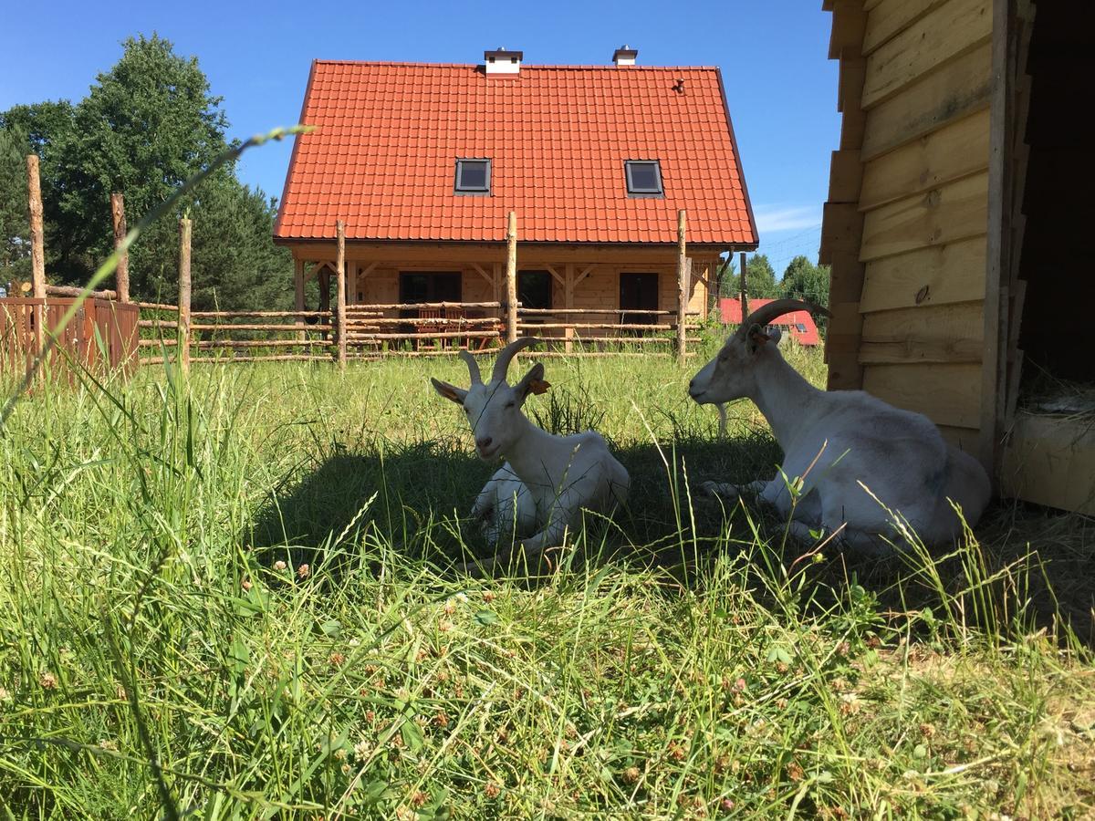 Vila Wypoczynek Na Mazurach U Sebka Łukta Exteriér fotografie
